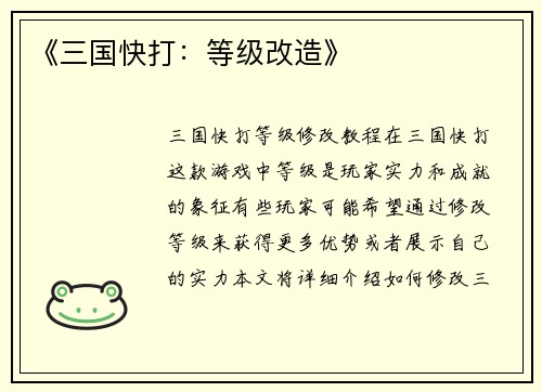 《三国快打：等级改造》